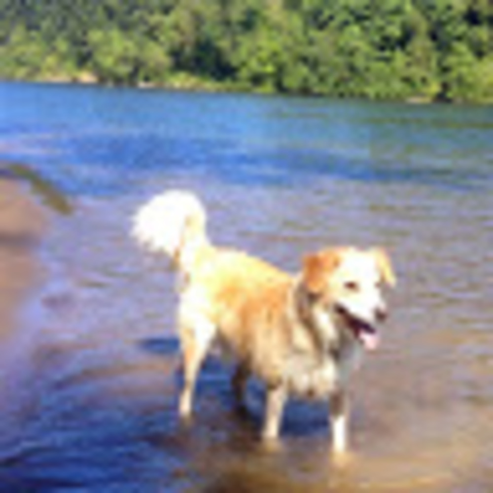 Meet your Posher, Karen